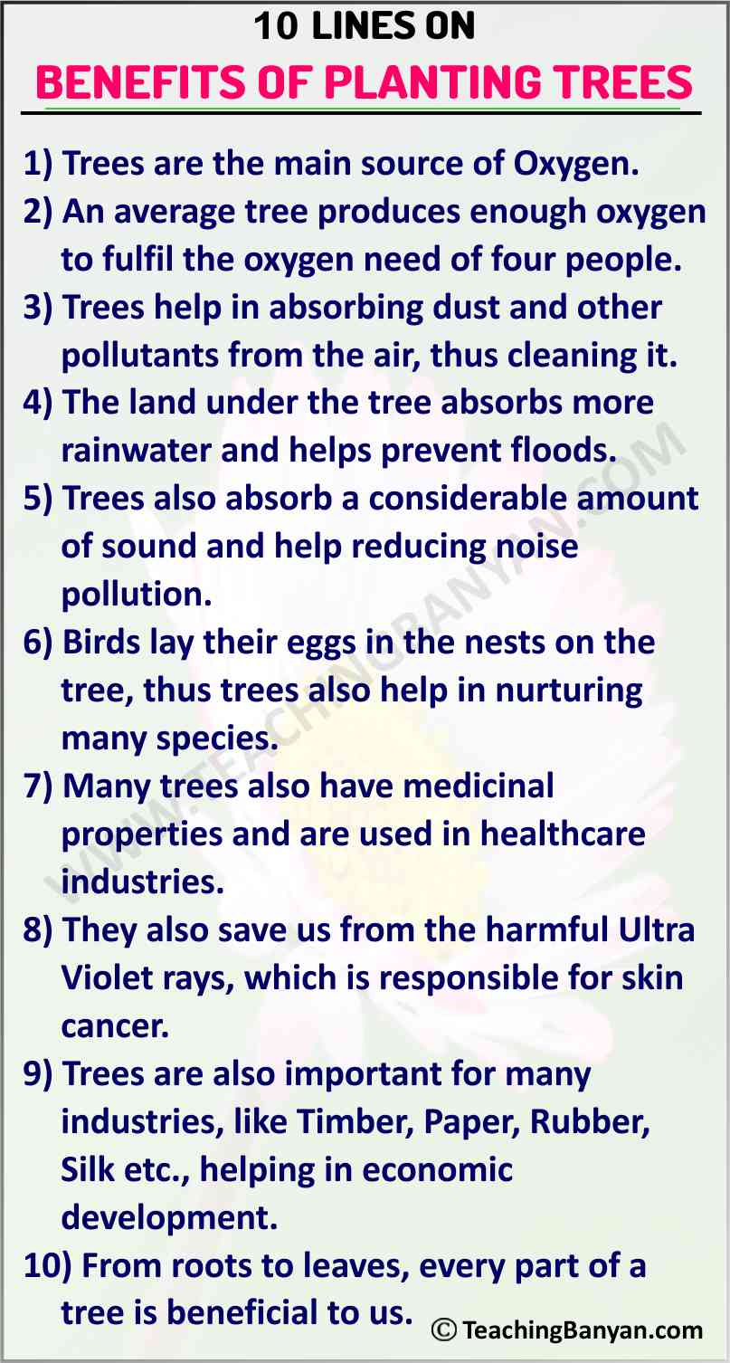 importance of planting trees for kids