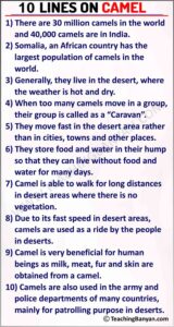 10 Lines on Camel