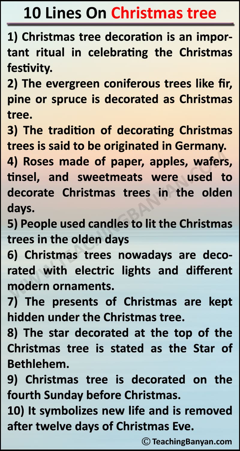 short essay on christmas tree