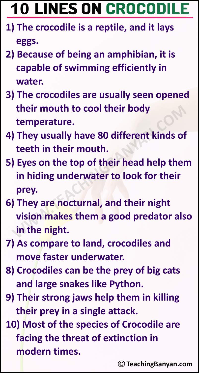 10 Lines on Crocodile in English for Children and Students of Class 1