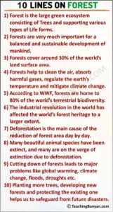 10 Lines on Forest