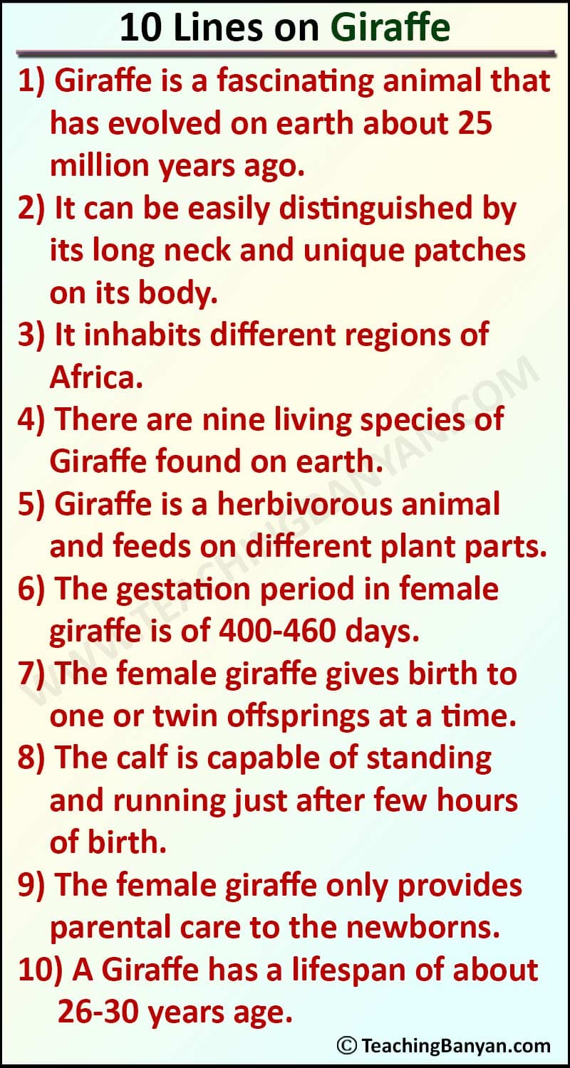10 Lines on Giraffe for Children and Students of Class 1, 2, 3, 4, 5, 6