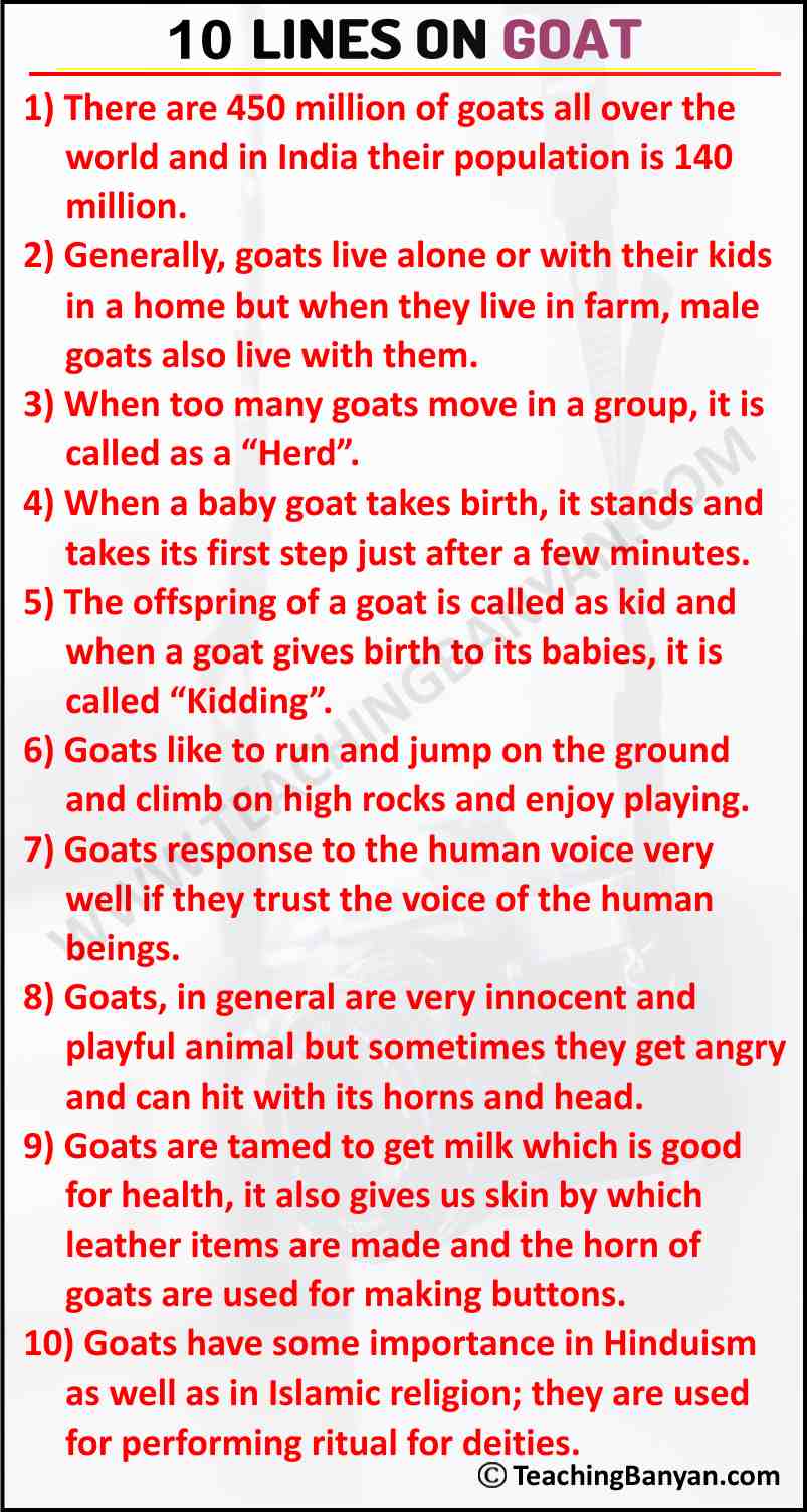 10 Lines on Goat for Children and Students of Class 1, 2, 3, 4, 5, 6