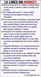 10 Lines on Monkey