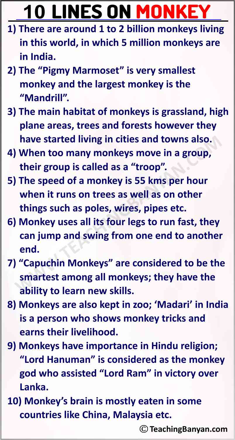 10 Lines on Monkey
