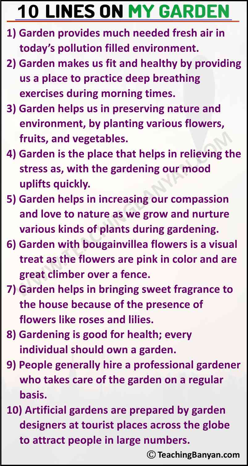 My Garden Essay Essay On My Garden For Students And Children In English A Plus Topper