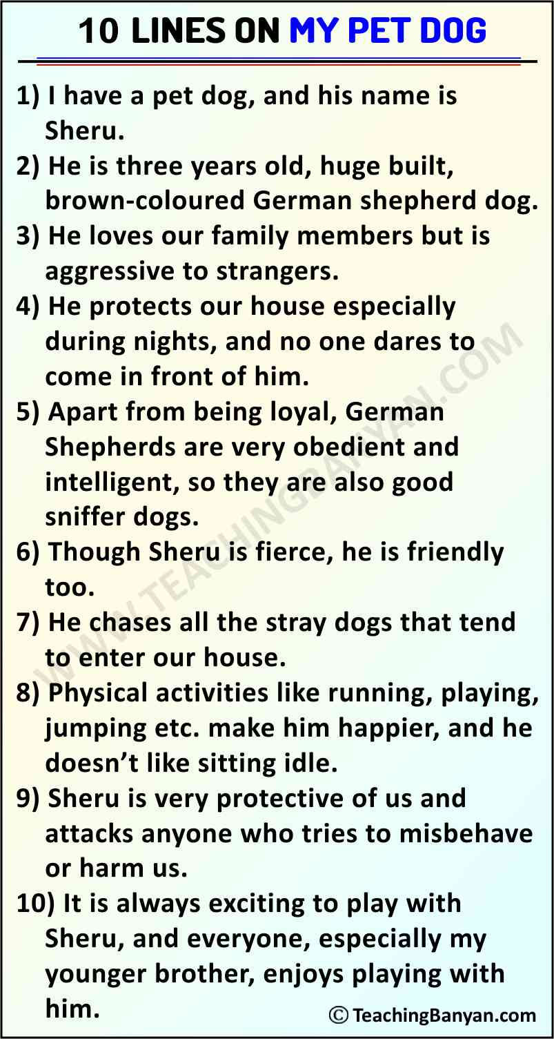 10 Lines on My Pet Dog