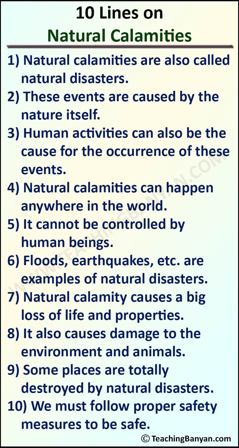 easy essay on natural calamity