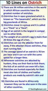 10 Lines on Ostrich