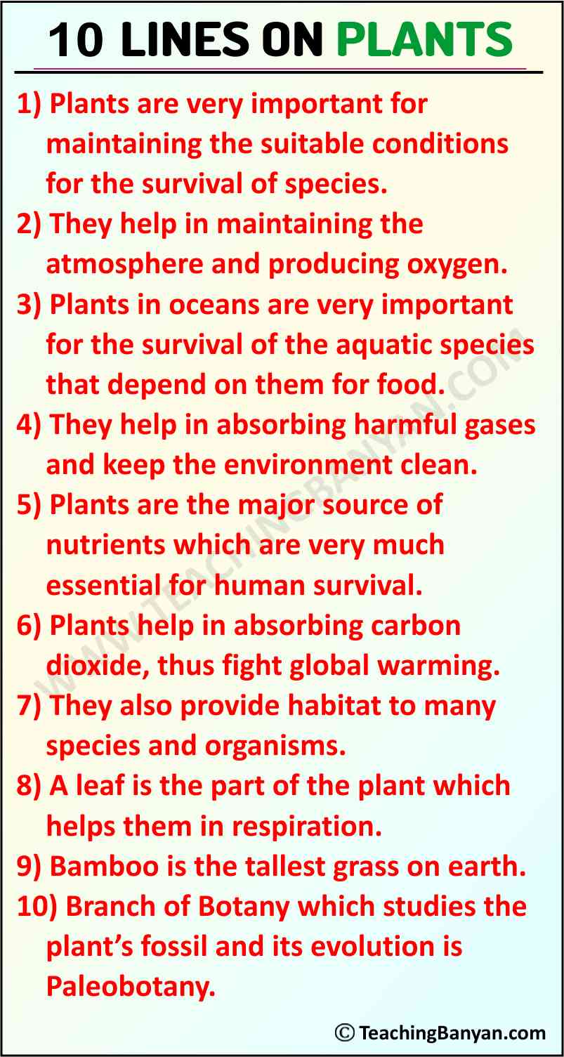 10 Lines on Plants for Children and Students of Class 1, 2, 3, 4, 5, 6