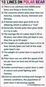 10 Lines on Polar Bear