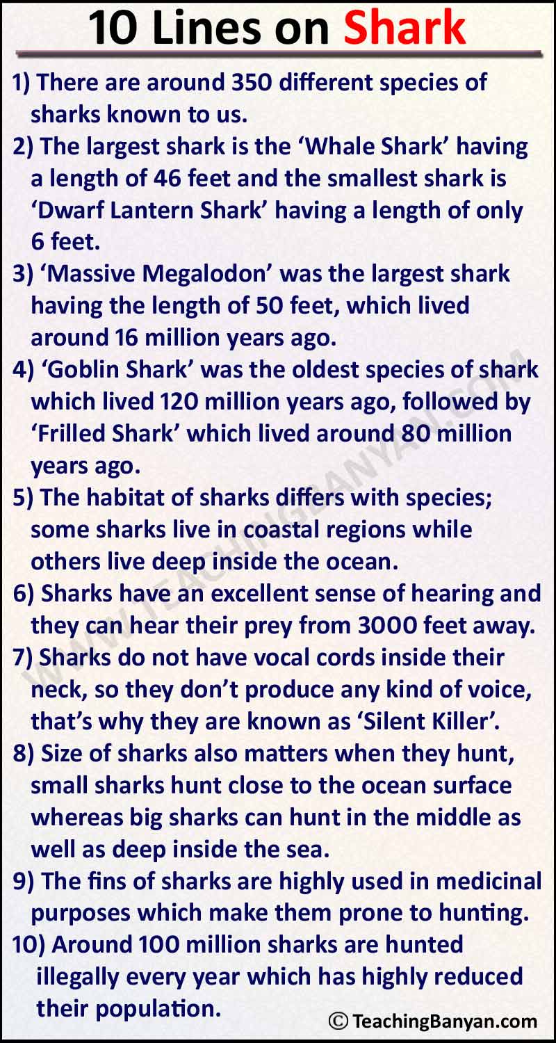 10 Lines on Shark