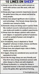 10 Lines on Sheep