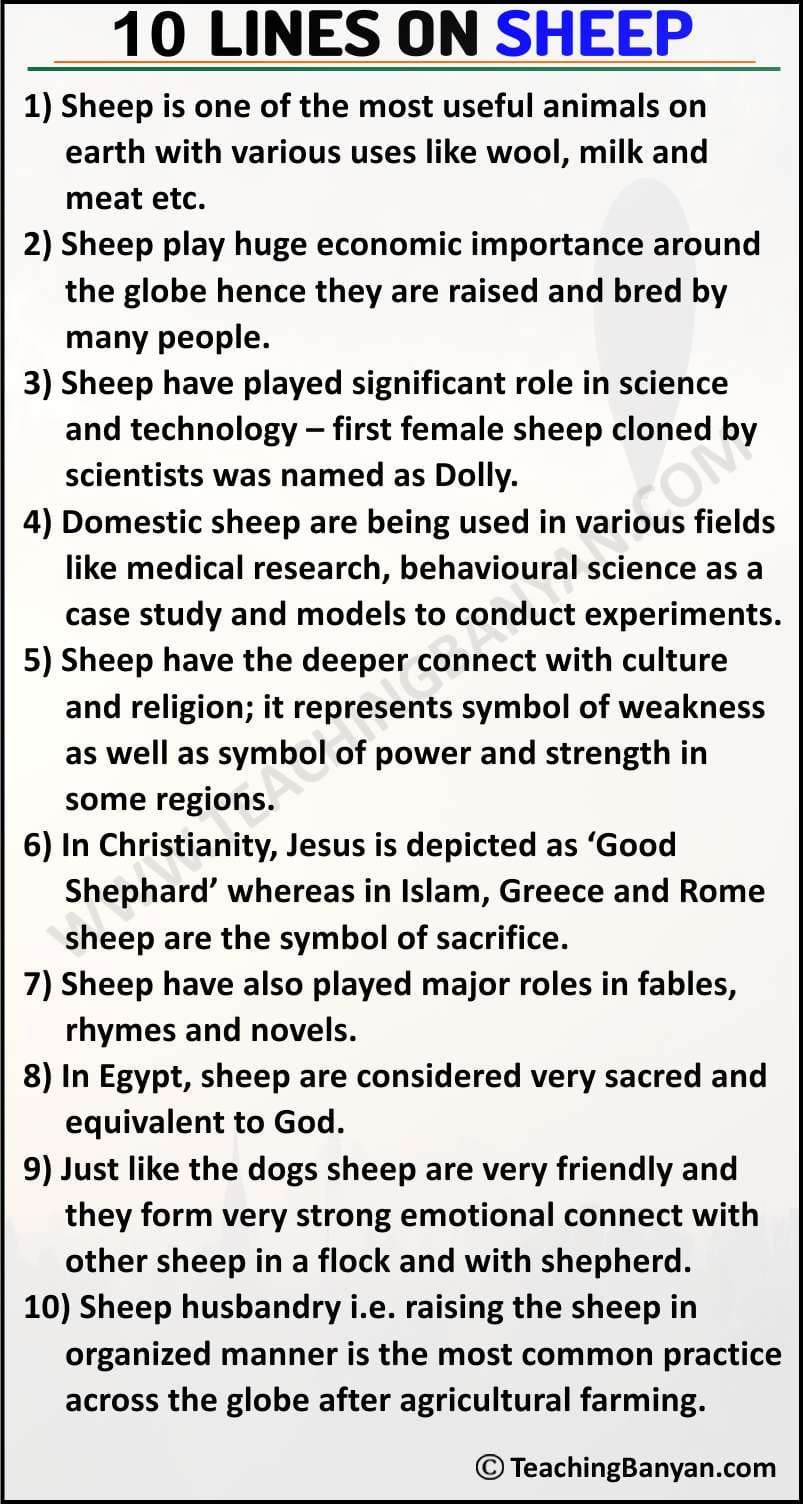 10 Lines on Sheep