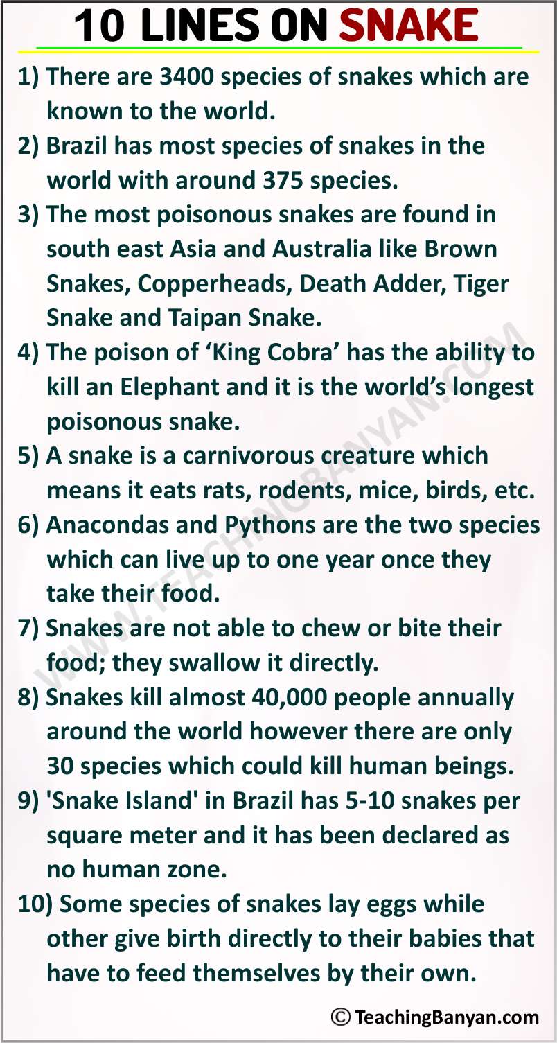 10 Lines on Snake