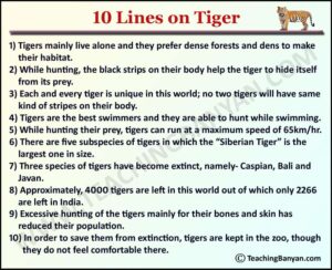 10 Lines on Tiger