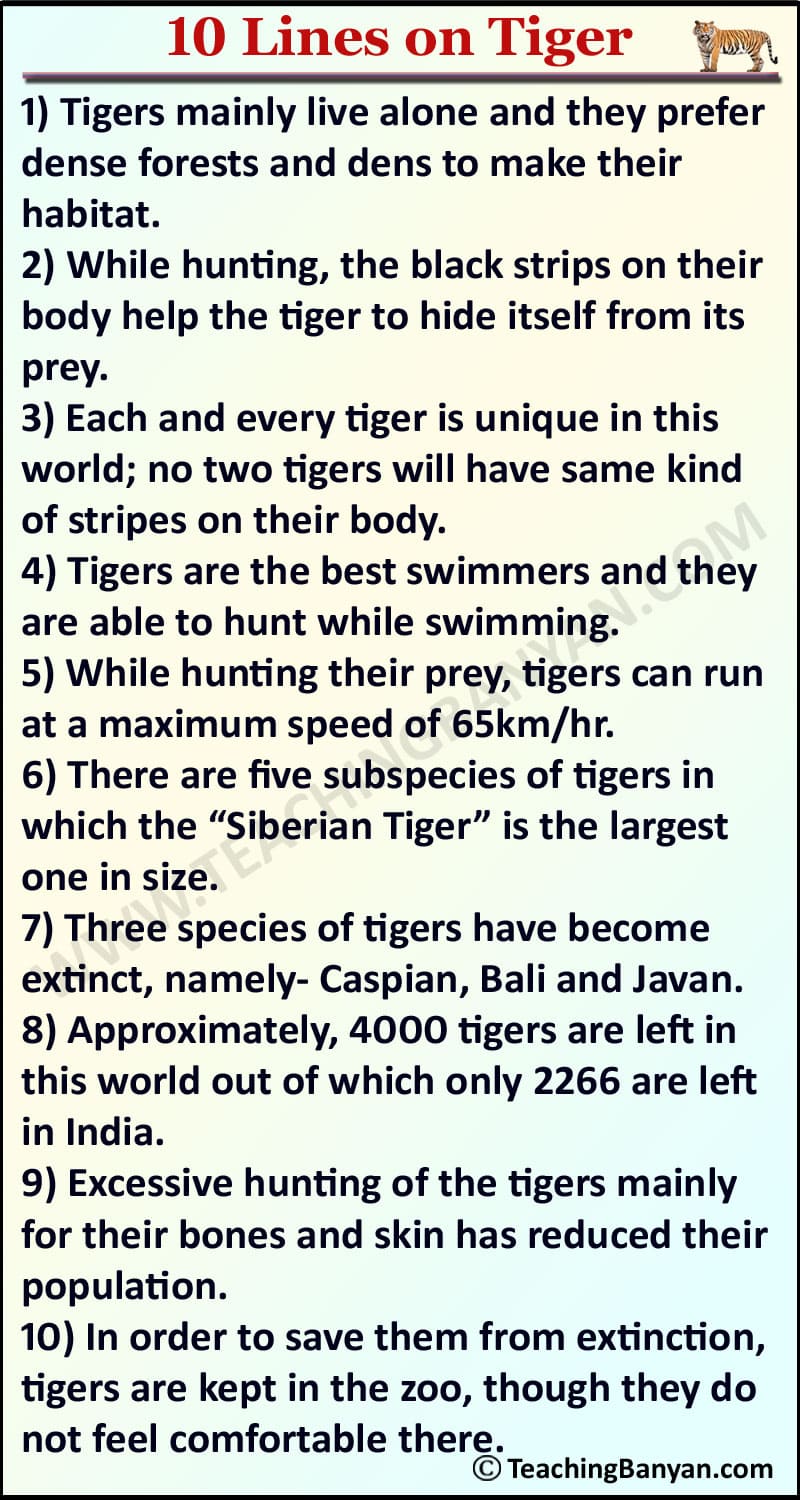 10 Lines on Tiger for Children and Students of Class 1, 2, 3, 4, 5, 6