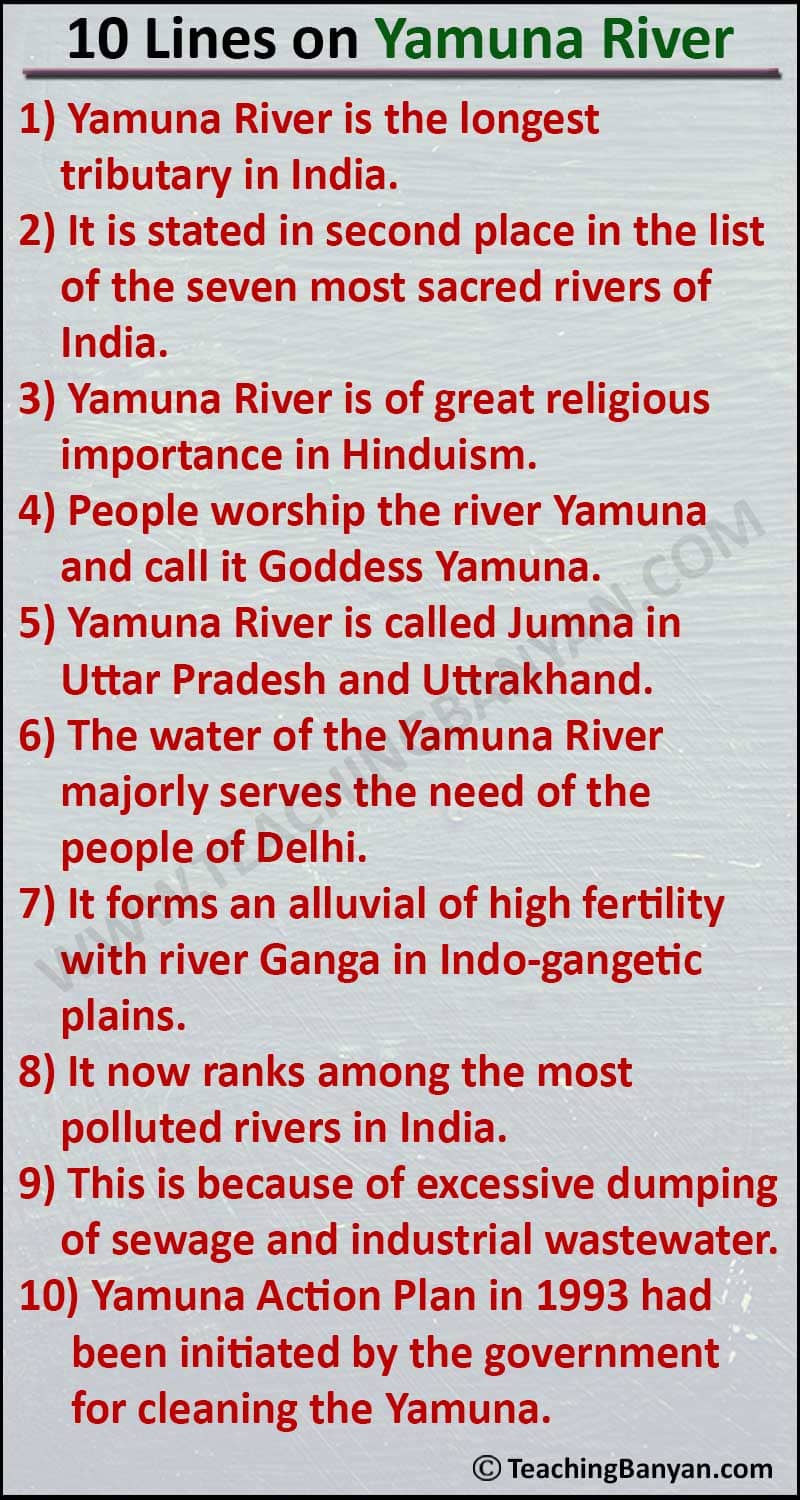 short essay on yamuna river in hindi